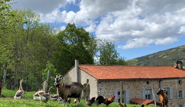 Charming accommodation with fireplace and garden in Sauvain