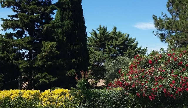 Charming air-conditioned villa with garden and swimming pool