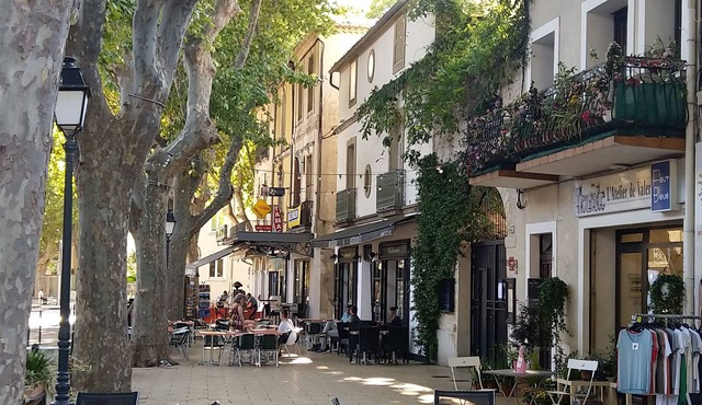 Charming air-conditioned villa with swimming pool near the sea and the Petite Camargue