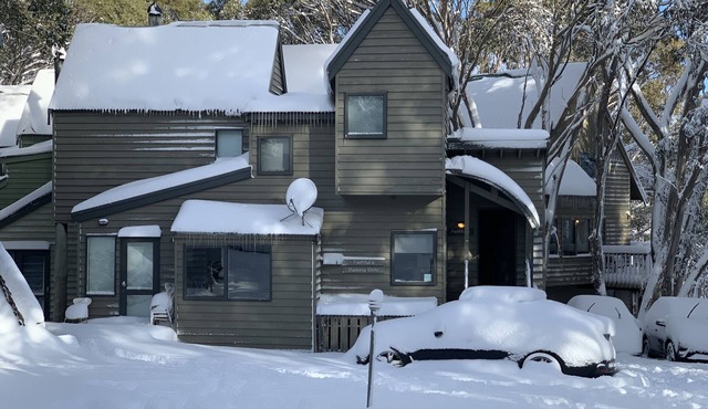 Charming Alpine Chalet 'Faithfulls' at Dinner Plain - Pet Friendly