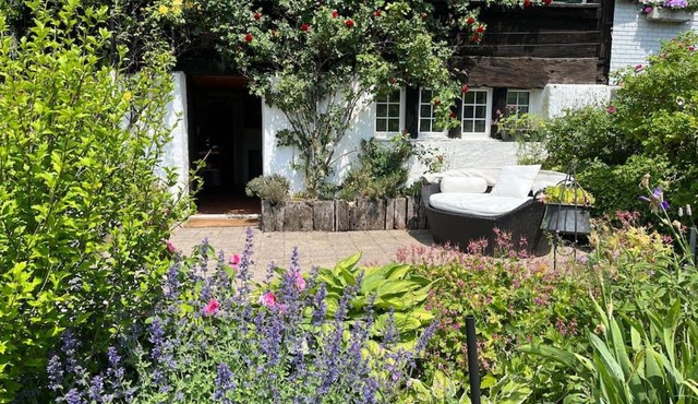Charming alps apartment perfect for walk/cycle/ski