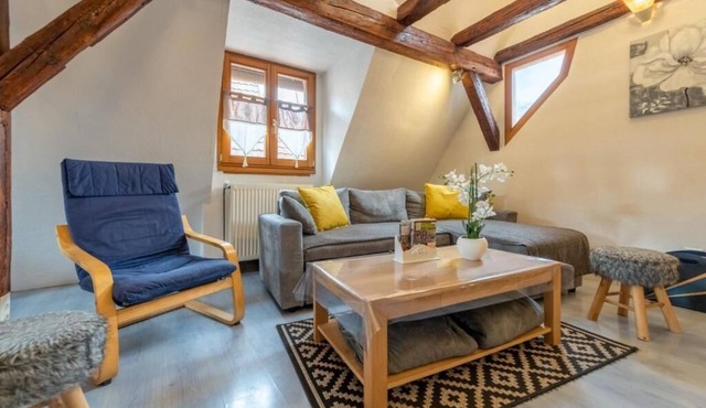Charming Alsatian triplex house rated 3*, Ribeauvillé center