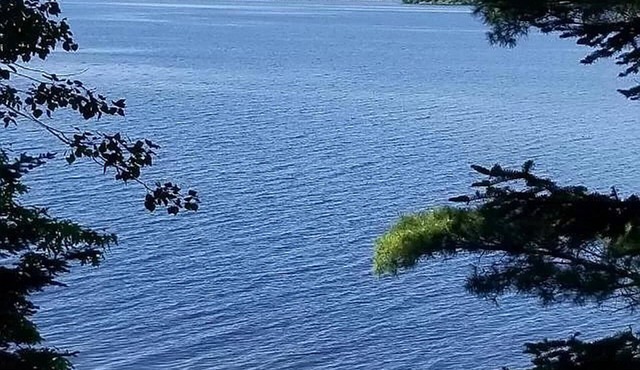 Charming and Cozy, 3-Season, Fence Lake Cottage with Beautiful Sunset View