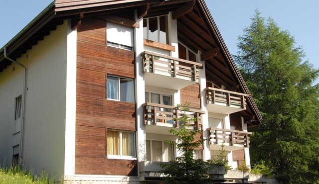 Charming and cosy apartment (sleeps 4-6 people) in a beautiful mountain village