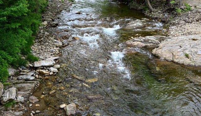 Charming and cozy 3-bedroom cabin featuring WiFi,and endless river frontage.