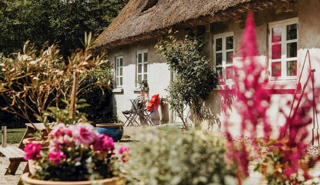 Charming and historic horse farm from the 1700s