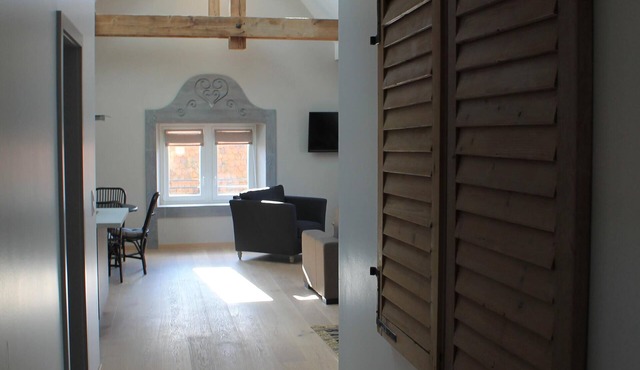 Charming and luxurious apartment