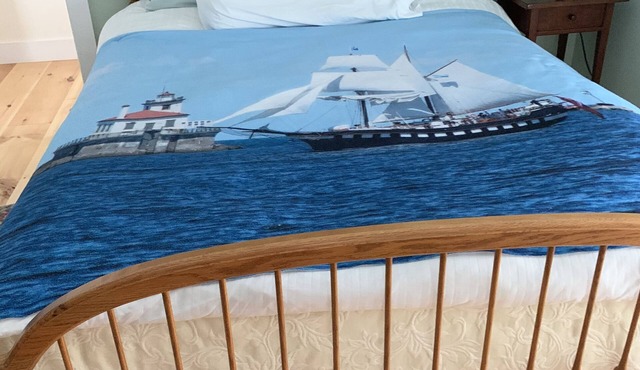 Charming and newly-renovated 1850's house in quiet residential neighborhood