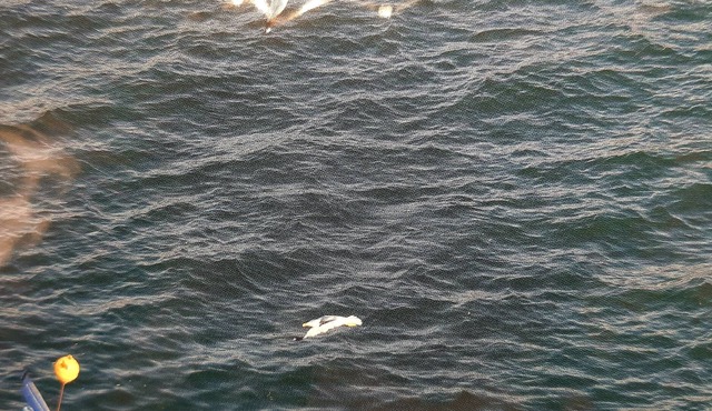 CHARMING AND QUIET STUDIO