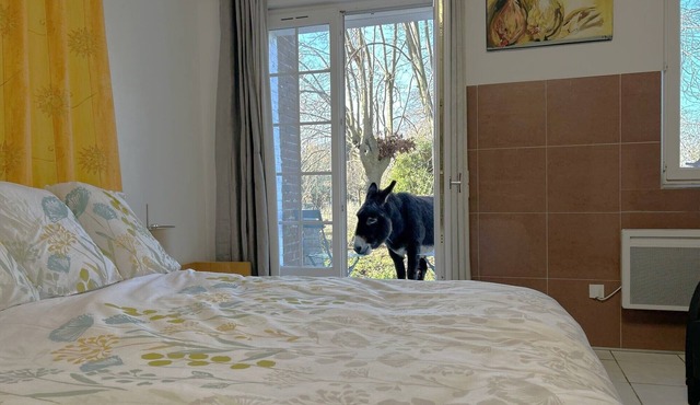 Charming and very large rural studio design and absolute calm 4000 M2 park