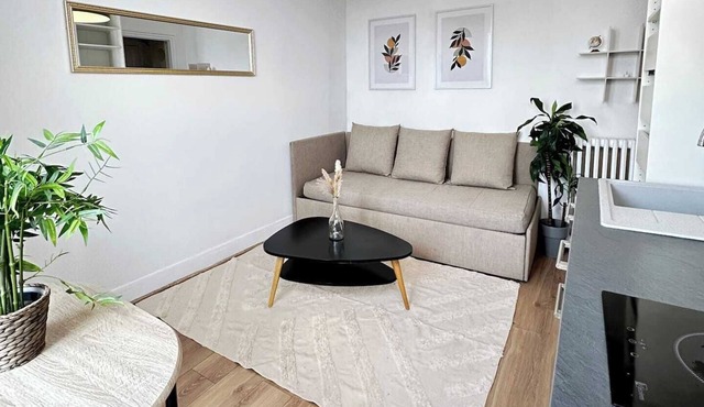 Charming apartment - Champs Elysées access