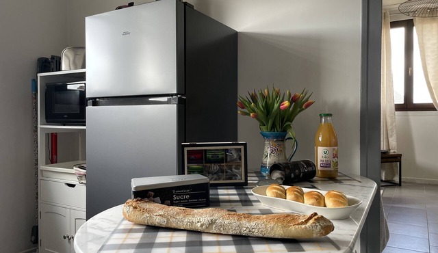 Charming apartment in Gennes Val de Loire