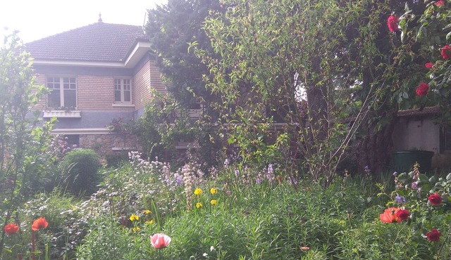 Charming apartment near the Fontainebleau forest