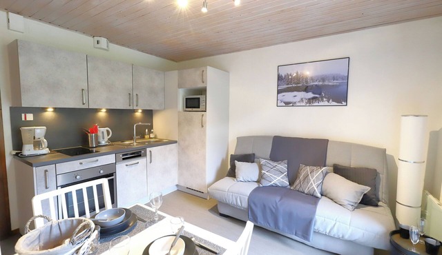 Charming apartment 1/3 pers, free 07/02 to 14/02.