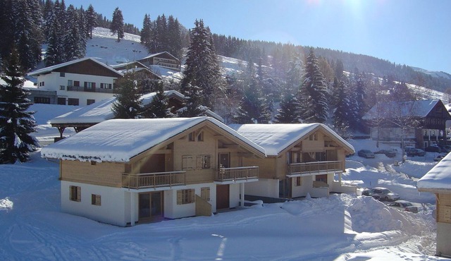 Charming apartment, 6 pers ` Savoyard style ', located at the foot of the slopes