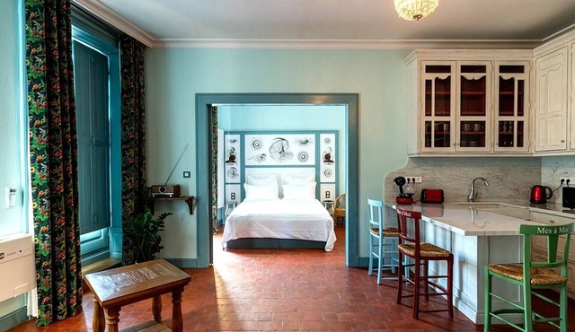 Charming apartment, air-conditioned, historic center of Pézenas, pets allowed