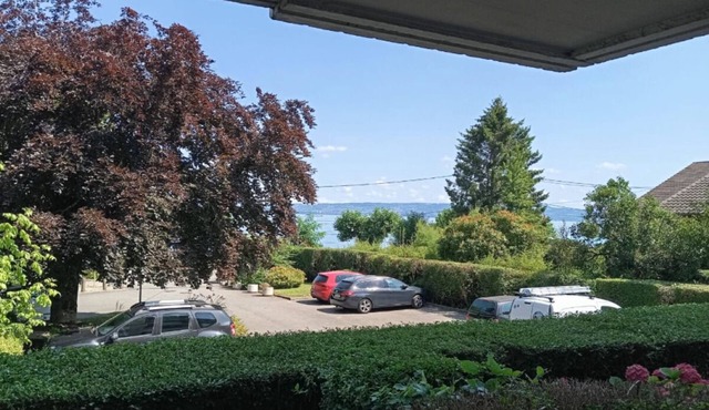Charming apartment - breathtaking view of Lake Geneva