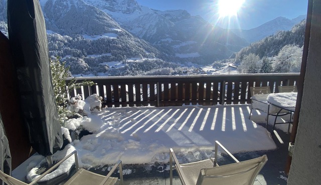 Charming apartment located opposite the Dents du Midi