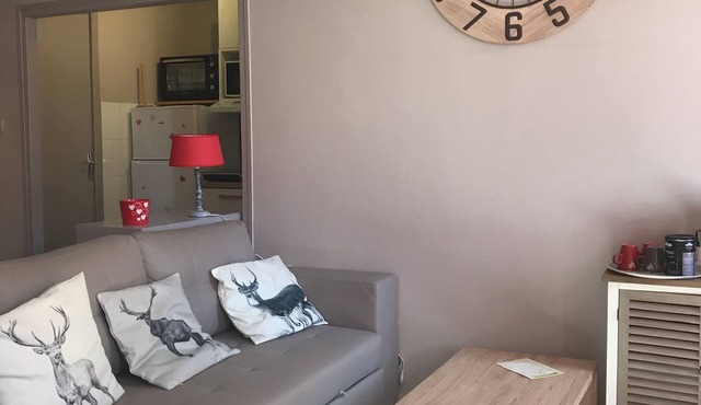 Charming apartment in the heart of Barcelonnette