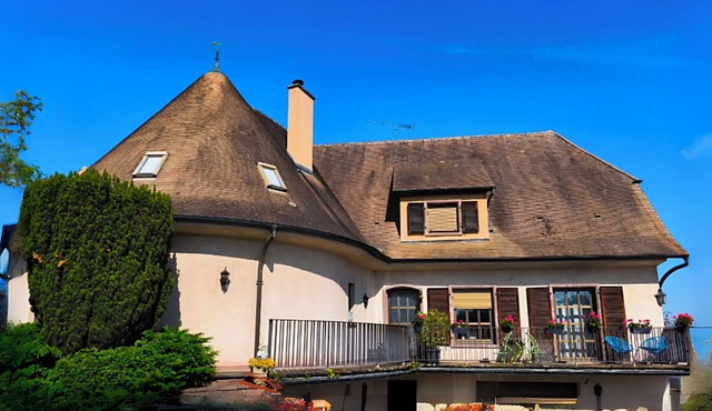 Charming apartment in our manor house in central Alsace.