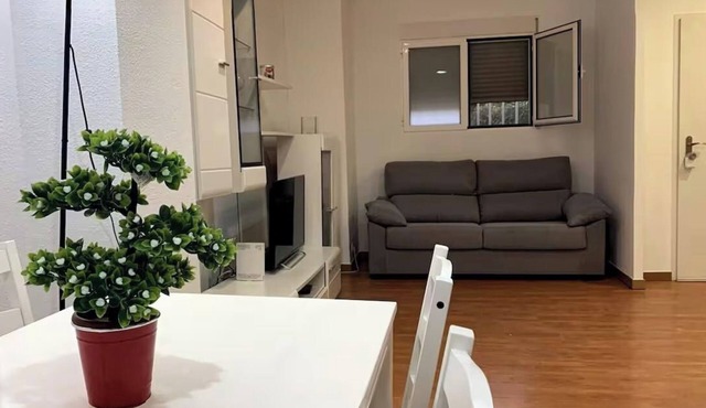 Charming Apartment in Valencia, Next to the City of Arts and Sciences