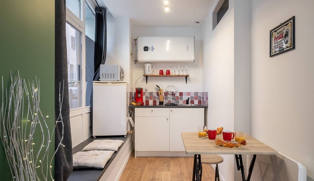 Charming apartment in the historic center of Grenoble