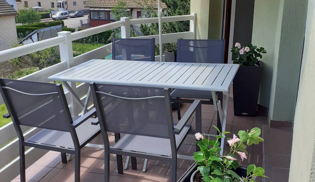 Charming apartment in the heart of the Ballon d'Alsace regional park