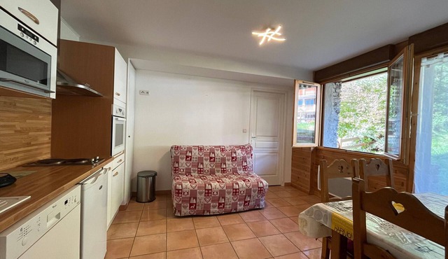 Charming apartment in Pra-Loup with parking and ski box