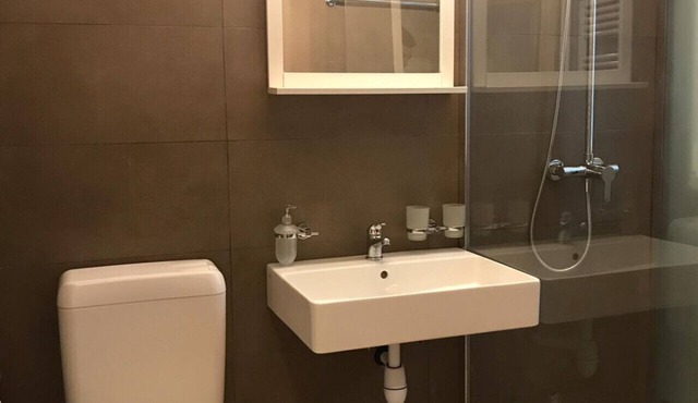 Charming Apartment in Geneva