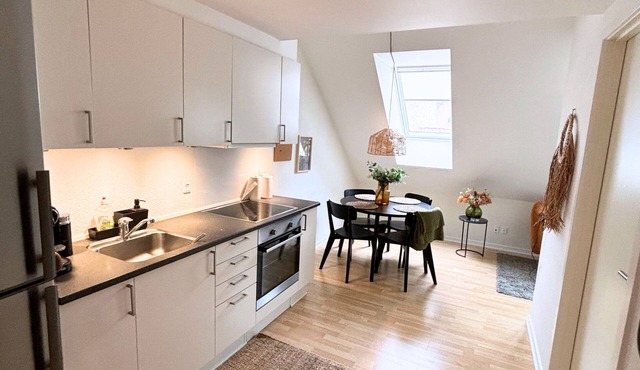 Charming apartment in the heart of Odense with roof view
