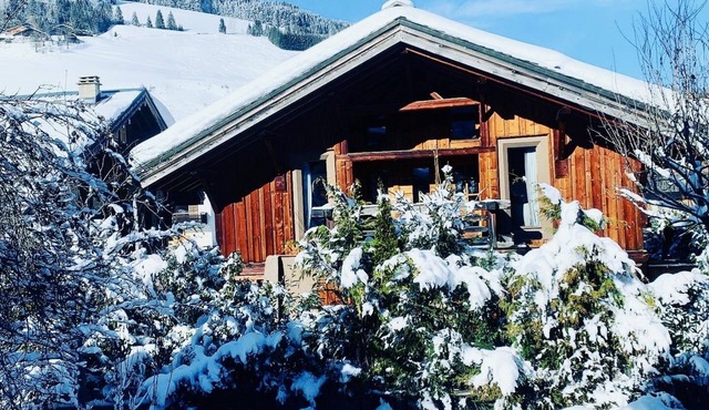 Charming apartment in the center of Megève, garden level, comfortable, sleeps 4