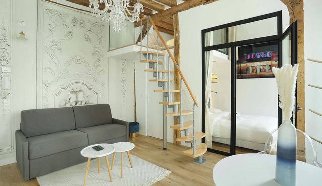 Charming Apartment Le Marais Center of Paris