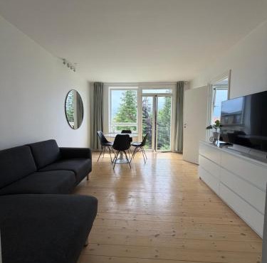 Charming Apartment near Central Copenhagen