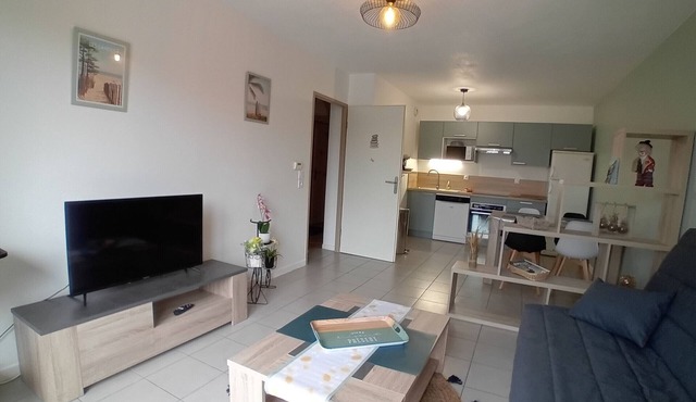 Charming apartment near beach with terrace and parking