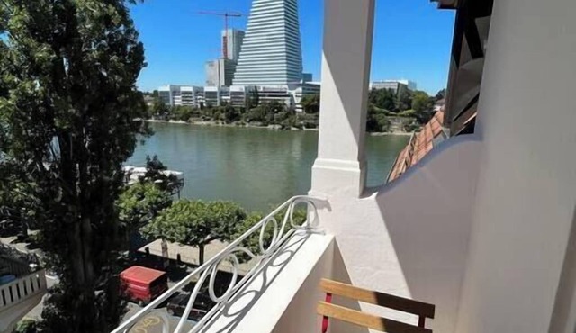 Charming Apartment on the Rhine