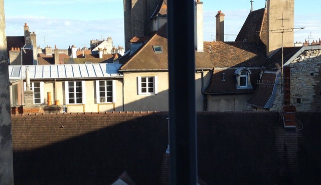 Charming apartment, quiet and in the heart of Dijon, Patarin Mansion