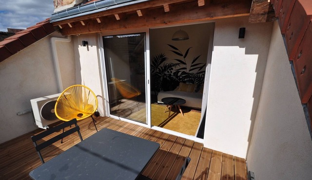 CHARMING APARTMENT WITH TERRACE MONTARGIS CENTER