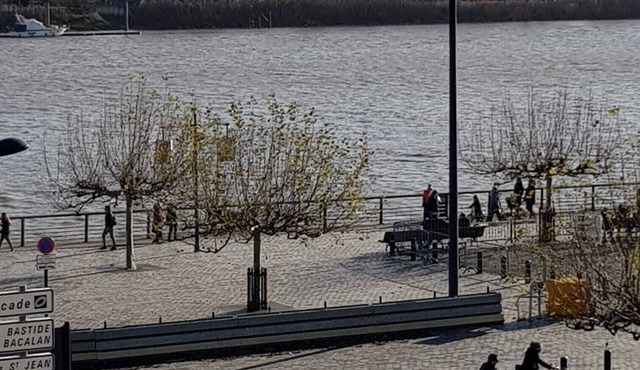 Charming apartment with character in an 18th-century building facing the Garonne River