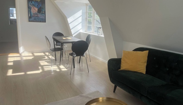 Charming Apartment with Lake View, Tennis Court- 5 Minutes from Odense Center