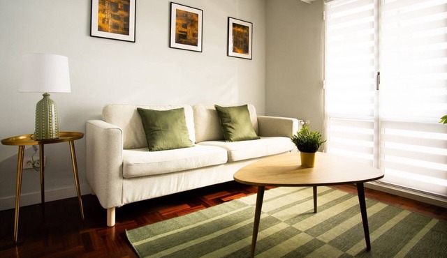 Charming Apartment with Wifi in Sestao