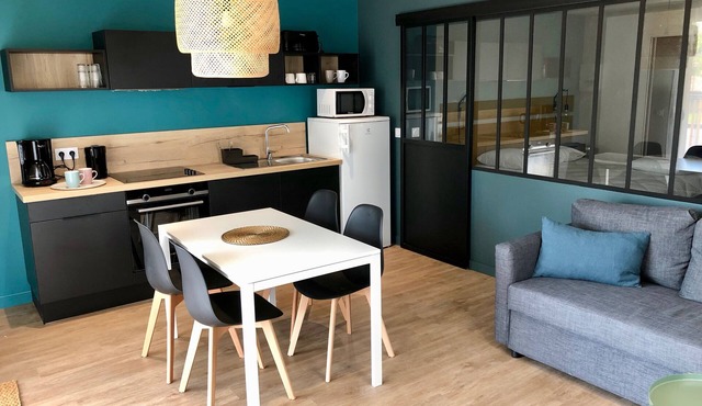 CHARMING APARTMENT WITH TERRACE IN A QUIET RESIDENCE NEAR JONZAC CENTER