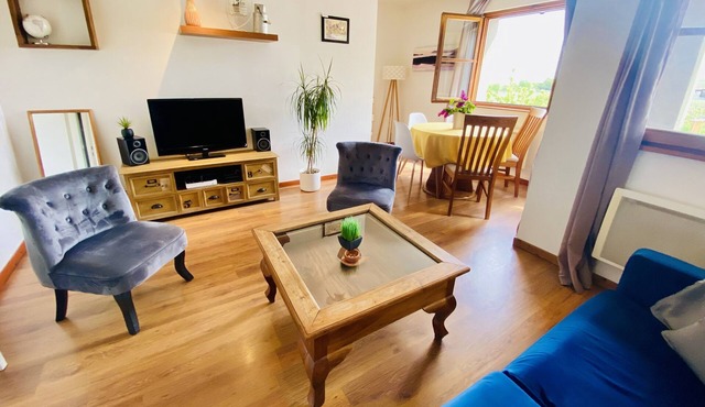 Charming apartment with vineyard view