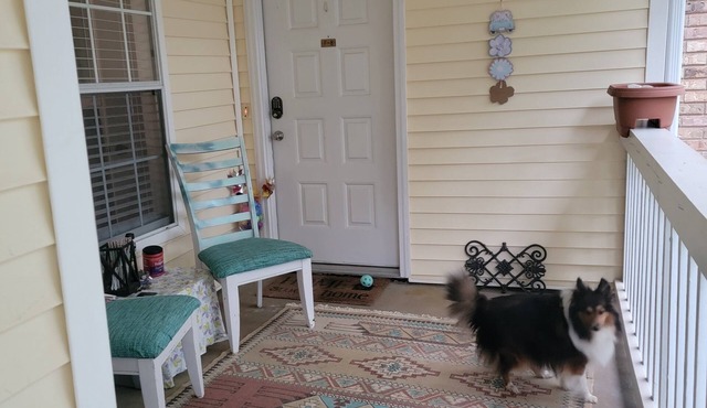 Charming Artist's nook - 1-bed condo with WiFi, AC. Close to beach and shopping