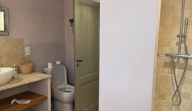 charming atypical house, La Vigne in Lourmarin