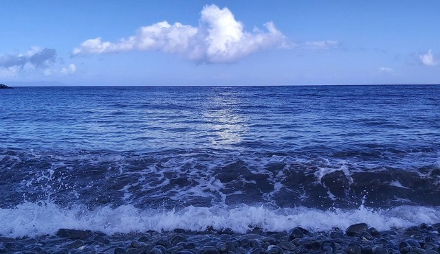 Charming atypical waterfront house