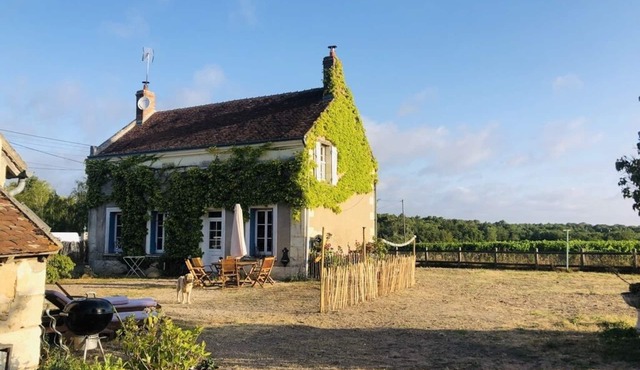 Charming authentic French holiday home on a hill surrounded by vineyards