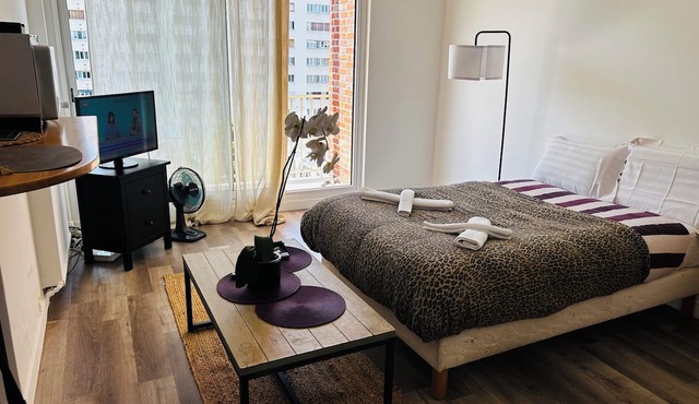 Charming, bright studio apartment on the top floor in Boulogne