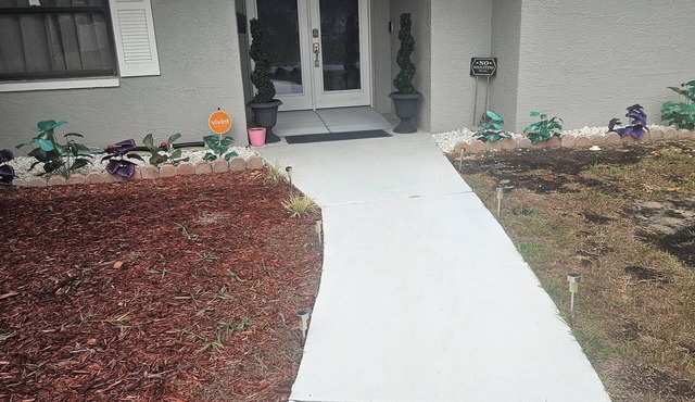 Charming & Beautiful Pet friendly Pool home in Spring Hill, Florida
