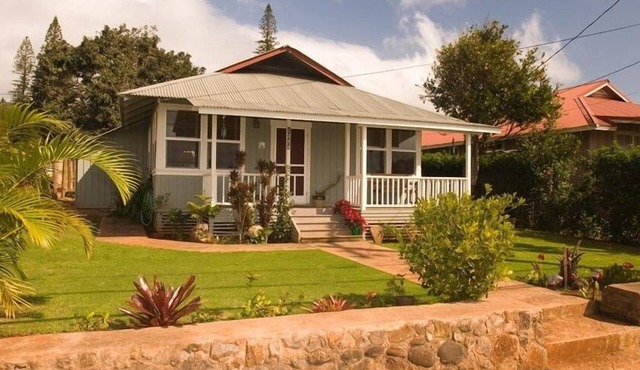 Charming, Beautifully Remodeled, Historic Plantation Home