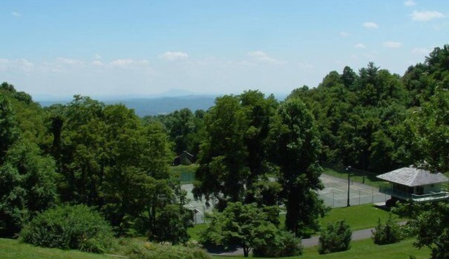 Charming Blue Ridge Parkway Chalet near Mt Airy, Mabry Mill, wineries and more.